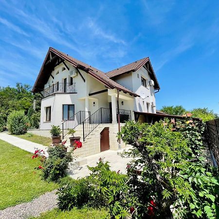 Hermesvilla Băile Felix エクステリア 写真