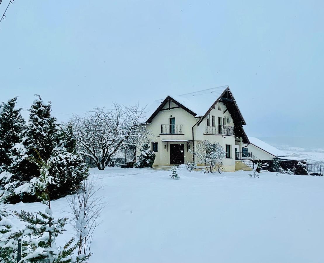 Hermesvilla Băile Felix エクステリア 写真